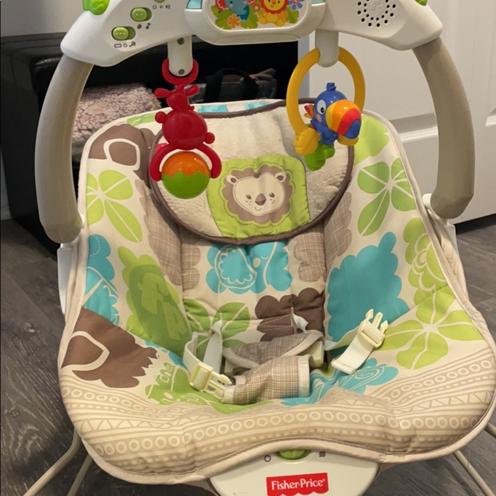 Fisher Price Baby Bouncer